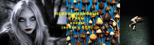 прущий лед Аркадак