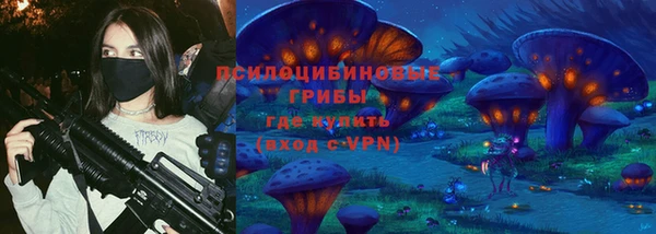 спайс Арсеньев