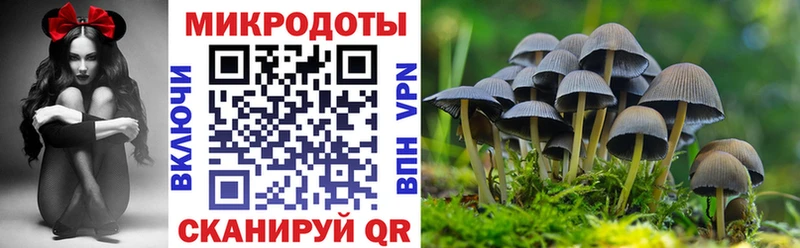 hydra сайт  сколько стоит  Борисоглебск  Галлюциногенные грибы GOLDEN TEACHER 